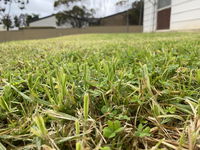 Book Karoonda Accommodation Vacations Accommodation Burleigh Accommodation Burleigh