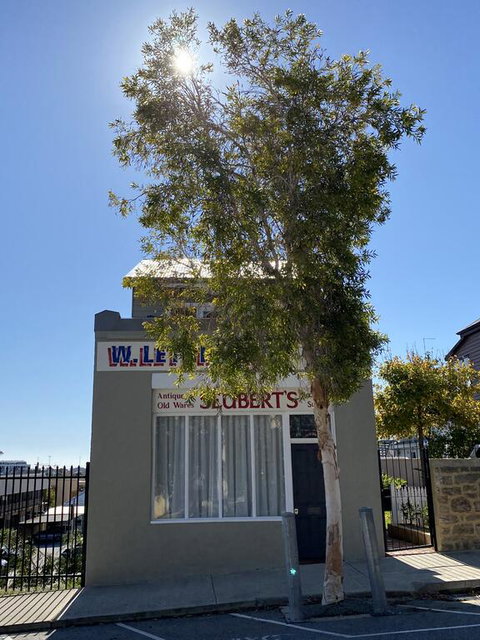 Le Cherche-Midi Bed & Breakfast - Accommodation Burleigh 2