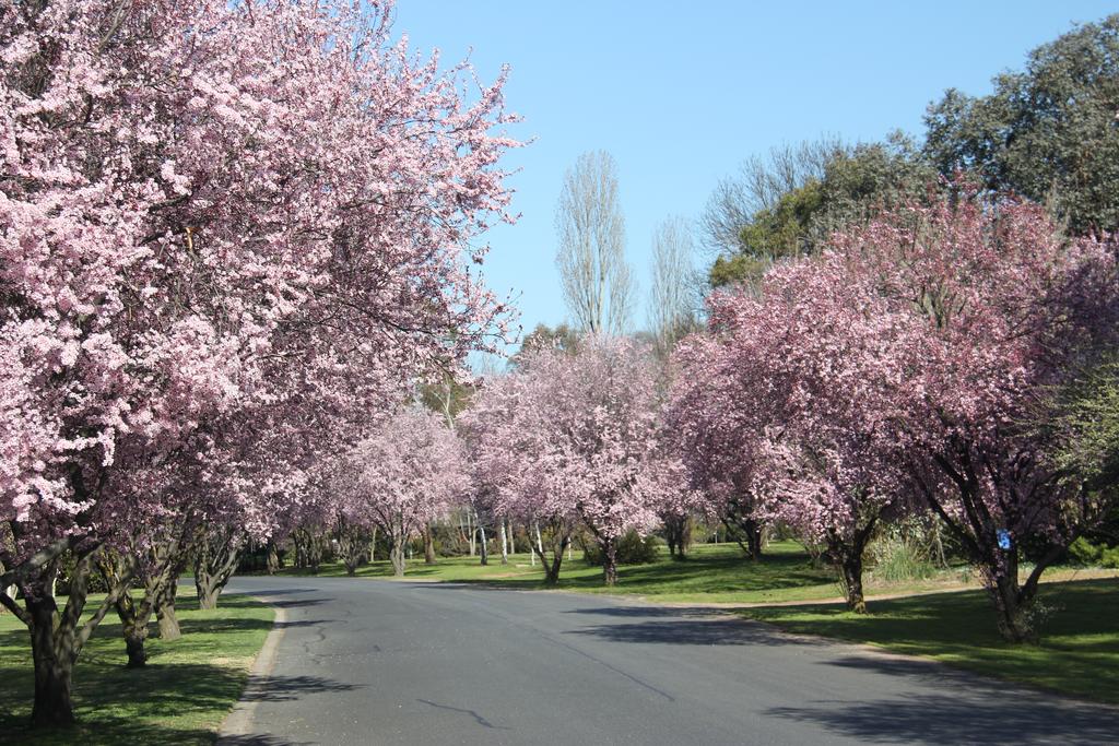 Kelso NSW Accommodation Burleigh
