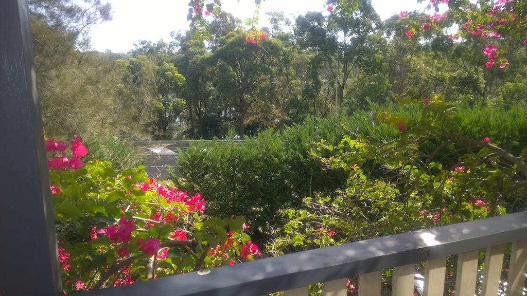 Linley Point NSW Accommodation Burleigh