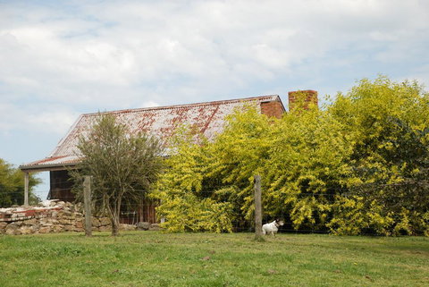 Mancuso Country Cottage Retreat - Accommodation Burleigh 1
