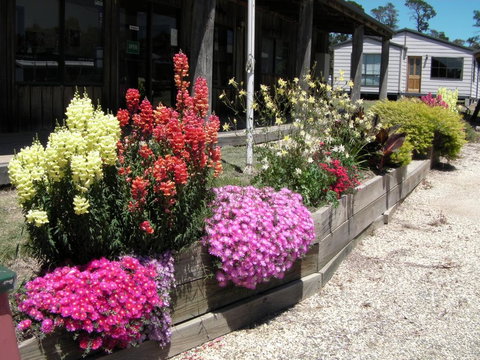 Mansfield Holiday Park - Accommodation Burleigh 3