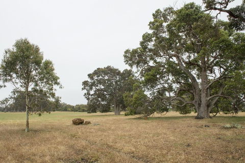 Metricup House - Elegant Country Retreat - Accommodation Burleigh 2