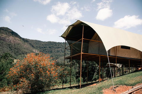 Midginbil Eco Resort - Accommodation Burleigh 0