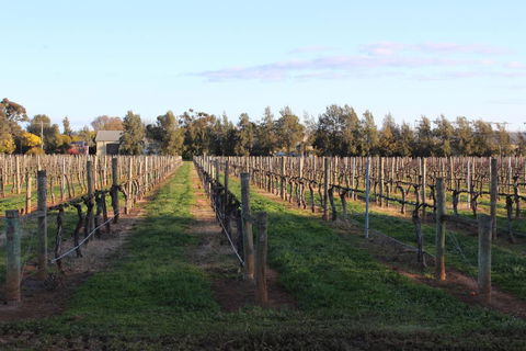 Milawa Vineyard Views - Guesthouse 1 - Accommodation Burleigh 1
