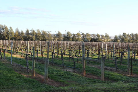 Milawa Vineyard Views - Guesthouse 2 - Accommodation Burleigh 0