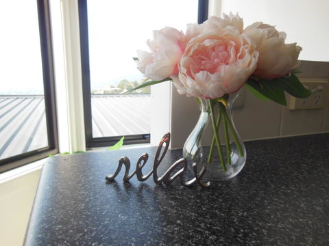 Modern Hobart Apartment With Stunning Views - Accommodation Burleigh 0