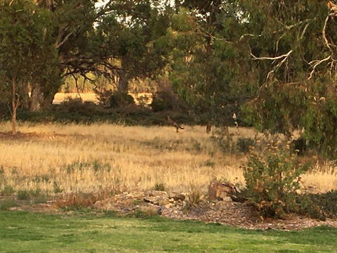 Murrord Wetlands - Accommodation Burleigh 3