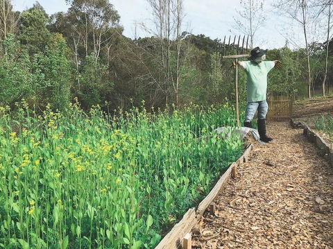 Mylor Farm, Adelaide Hills - Accommodation Burleigh 1