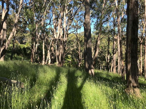 Mylor Farm, Adelaide Hills - Accommodation Burleigh 0