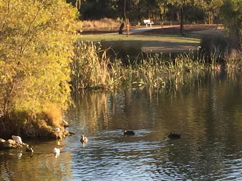 Lakeside Views - Accommodation Burleigh 15