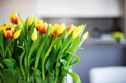Claremont Quarter Luxury Apartment - Accommodation Burleigh 11
