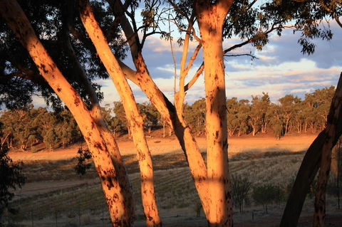 Hotham Ridge Estate - Accommodation Burleigh 30