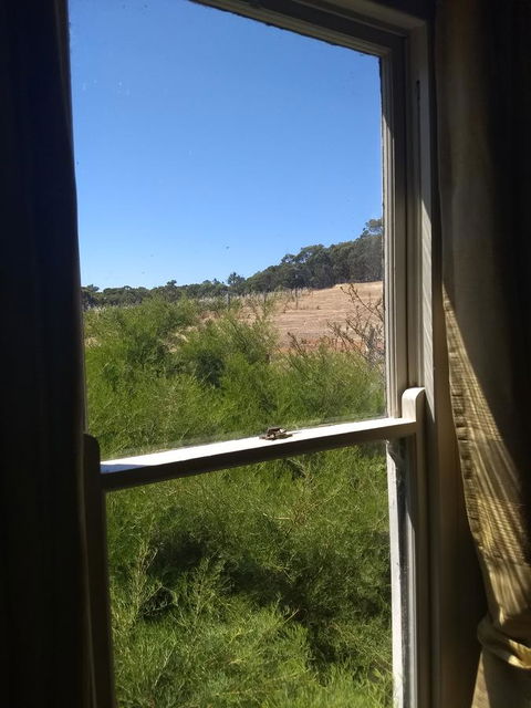 Hotham Ridge Estate - Accommodation Burleigh 8