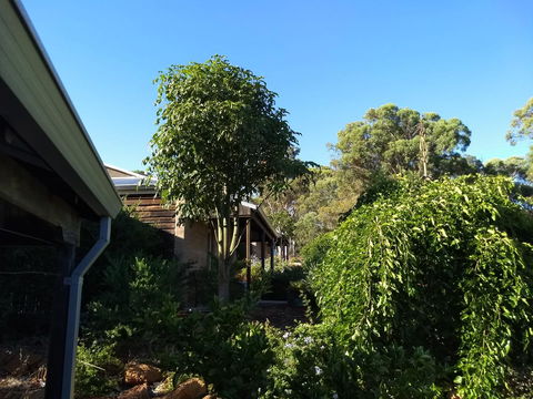 Hotham Ridge Estate - Accommodation Burleigh 5