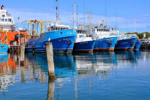 Gallery Serviced Apartments - Accommodation Burleigh 27