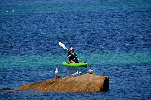 Sandpiper Retreat - Accommodation Burleigh 29