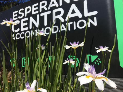 Esperance Central Accommodation - Accommodation Burleigh 0