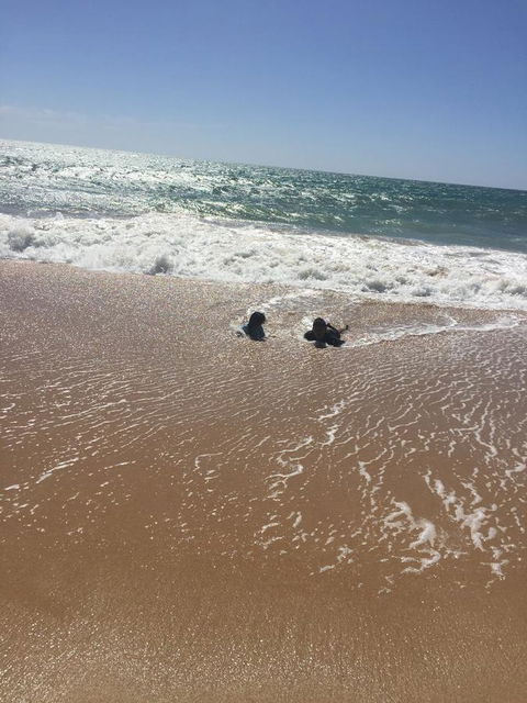 Beach House At SeaScapes.. - Accommodation Burleigh 30