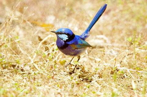 Yelverton Brook Conservation Sanctuary - Accommodation Burleigh 23