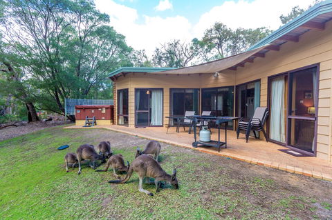 Yelverton Brook Conservation Sanctuary - Accommodation Burleigh 18
