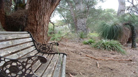 Yelverton Brook Conservation Sanctuary - Accommodation Burleigh 42