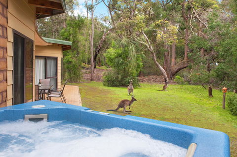 Yelverton Brook Conservation Sanctuary - Accommodation Burleigh 9