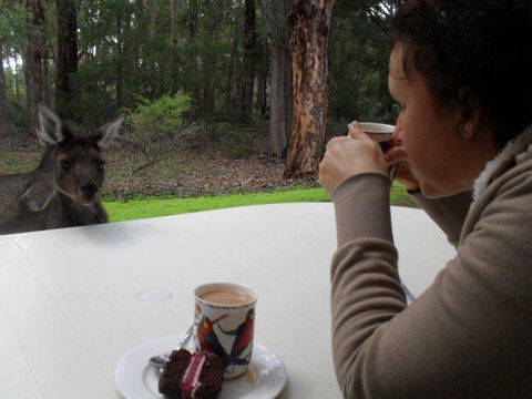 Yelverton Brook Conservation Sanctuary - Accommodation Burleigh 44