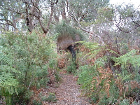 Yelverton Brook Conservation Sanctuary - Accommodation Burleigh 41