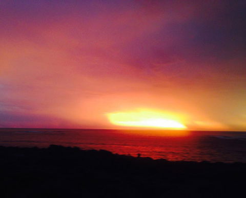 Studio Tramonto - Accommodation Burleigh 10