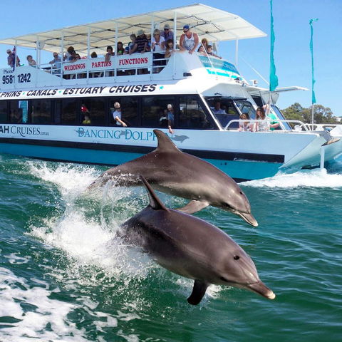 Mandurah Coastal Holiday Park - Accommodation Burleigh 0