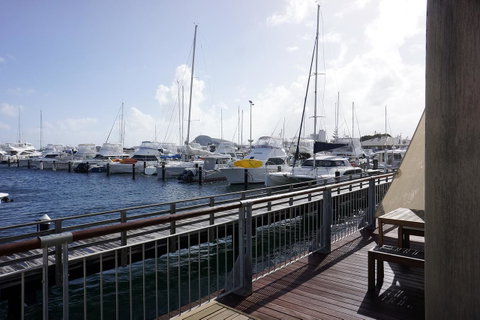 Oceanside 22 - Accommodation Burleigh 17