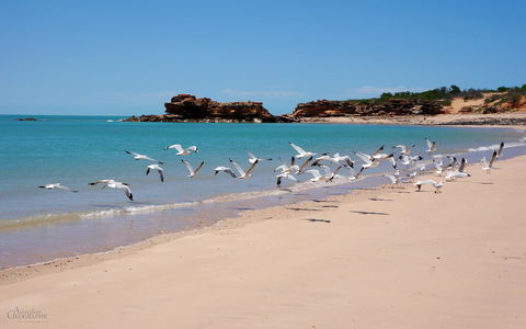 Apartments At Blue Seas Resort - Accommodation Burleigh 25