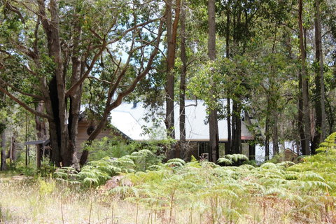 Scotsdale Valley Studios - Accommodation Burleigh 12