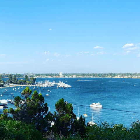 SEA BREEZE â€“ Between Cottesloe Beach & Swan River - Accommodation Burleigh 23