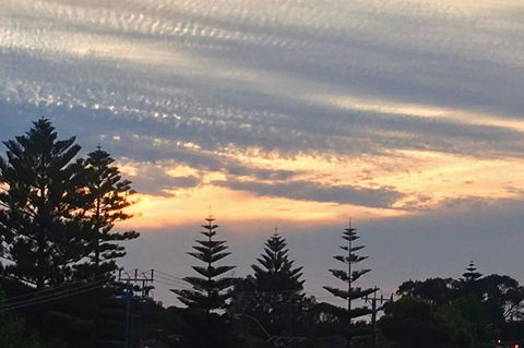 SEA BREEZE â€“ Between Cottesloe Beach & Swan River - Accommodation Burleigh 16