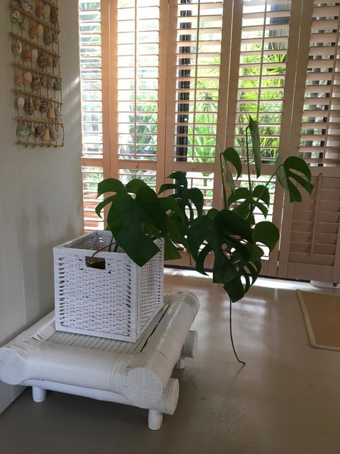 DESIGNER'S STUDIO - Accommodation Burleigh 5