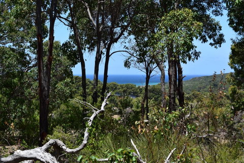 Eagle Bay House - Accommodation Burleigh 38