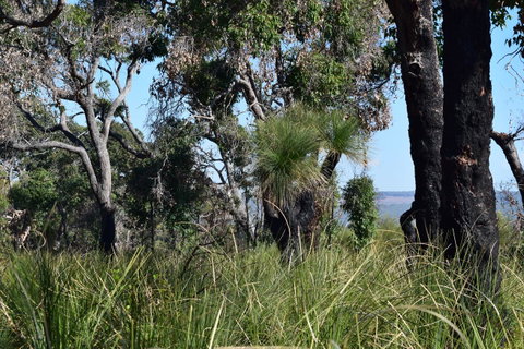 Eagle Bay House - Accommodation Burleigh 32