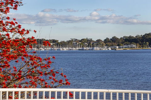 Como Executive Apartment - Accommodation Burleigh 22