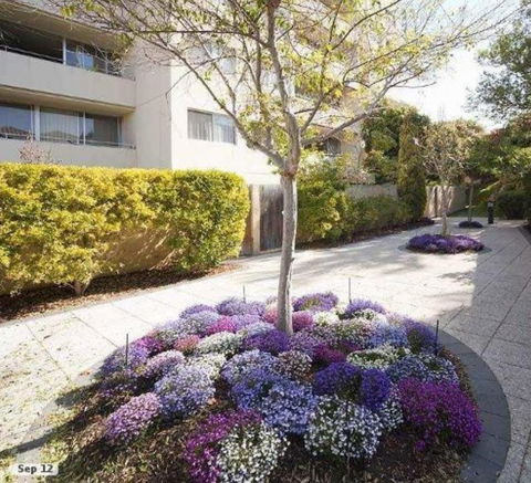 Retro Central Claremont Oasis - Accommodation Burleigh 0