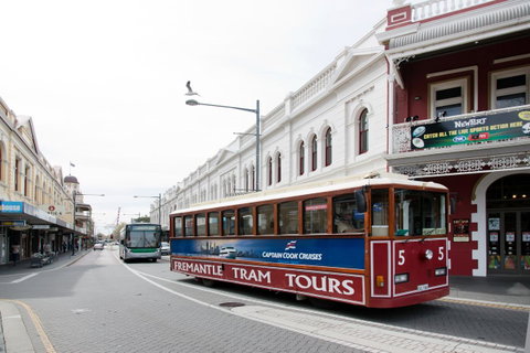 The Local - Fremantle Apartment - Accommodation Burleigh 15