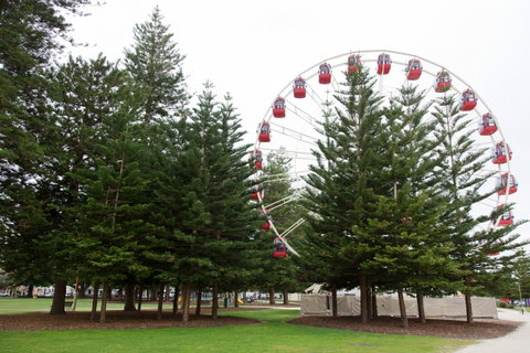 The Local - Fremantle Apartment - Accommodation Burleigh 16