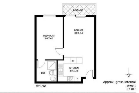 Freo's Choice - Accommodation Burleigh 9