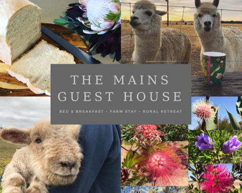 The Mains Guest House 2 Bedroom Farm Stay - Accommodation Burleigh 0