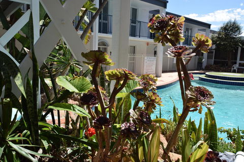 West Beach Lagoon 109 â€“ Amazing Location! - Accommodation Burleigh 12
