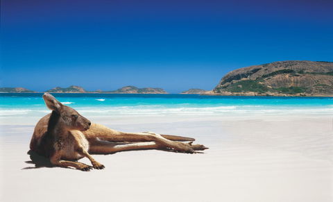 Esperance YHA - Accommodation Burleigh 14