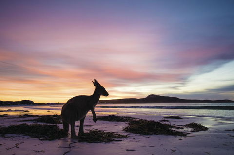 Esperance YHA - Accommodation Burleigh 20