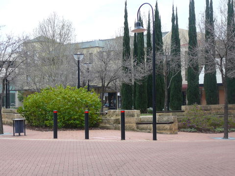 Dragonfly Apartment On Regal - Accommodation Burleigh 36