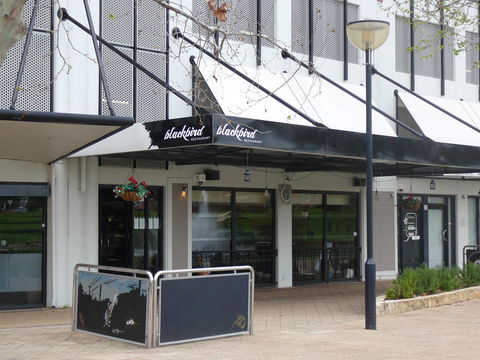 Dragonfly Apartment On Regal - Accommodation Burleigh 42